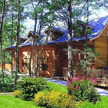Cabins At Grand Mountain By Thousand Hills Resort 브랜슨 외부 사진